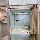 율하 다나동물병원 이미지