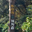 귤림하우스 네이버블로그