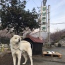 어씨빅센터커피