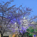 임항선그린웨이(북마산역) 이미지