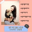 운암애견 | 광주 편하게 가족사진 찍기 좋은 셀프 스튜디오 추천 - [더스팟] 운암점 방문 및 촬영 후기