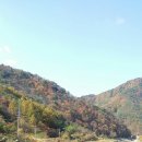 고성터널 Daum카페