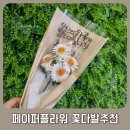 용매토퍼 이미지