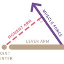 모멘트(Moment)