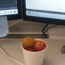 규섭농장 이미지