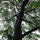 백양산업 이미지