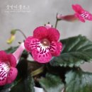 티엘즈