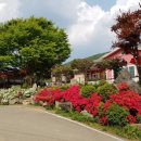 제우스당구카페 | 횡성펜션추천, 횡성커플펜션 또 갈래!