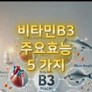 비타민B3 효능 5가지 이미지