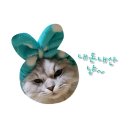 광안로 16번길 이미지