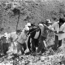 (95) 사망고지(死亡告知) 이미지