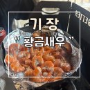 부산 기장 내돈내산 새우야시장 황금새우본점 후기