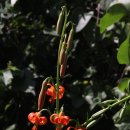 벌곡(대전) 이미지