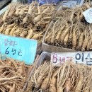 강화인삼센터 요한네