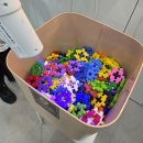 아이디씨