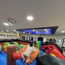 용인대꿈나무태권도체육관 | ​[마곡/신방화태권도]국가대표 2026 새학기 우리 아이 첫 운동