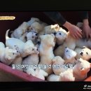 서들농장 이미지