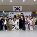 스탈릿 백호 태권도장 이미지