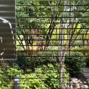 역삼1-207 이미지