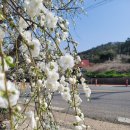 도화민박 이미지