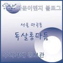 독살롱 다듬 이미지