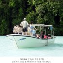 밀키웨이(Milky Way) 이미지