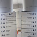 시내버스정류장 | 제주공항에서 시내, 버스정류장 노선 양문형 버스 후기