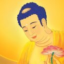 ☆겨울철, 굶어 죽는 독수리들에게 먹이 후원하기☆