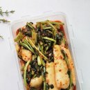 푸르내 농산 | 전라도총각김치 100% 국내산 원재료 알타리김치 푸르내농수산