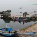 대본1리 이미지