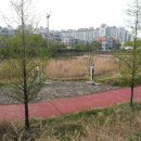 월드컵인라인스케이트장 이미지