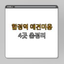 실용헤어커트 | 합정역 애견미용 잘하는 곳 BEST4 | 예약하기 | 후기 확인 | 추천 가게 | 펫미용 | 인기 서비스 | 총정리