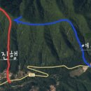빨강여우 이미지