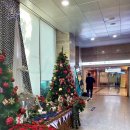 파티마약국 이미지