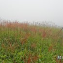 도덕행복의원 이미지