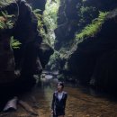 (주)대자연NC식자재마트 | 호주 시드니 여행기 - 해변 편