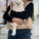 므므스튜디오 이미지