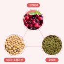 큐어엔 | 질염 유산균 추천, 지노큐어 밸런스 어게인 프로바이오틱스 찐사용 후기