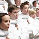 파리나무십자가 소년합창단 내한공연 이미지