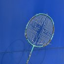 안성시배드민턴장 이미지