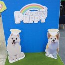 행복드림 동물병원 이미지