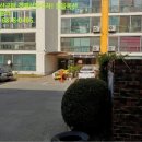 새미기픈믈유치원 이미지