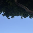 본죽중동교점 이미지