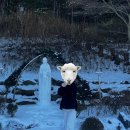 톰보이 | 겨울 여성 아우터 무스탕 추천 톰보이 무스탕 후기 무스탕 코디 여성 무스탕