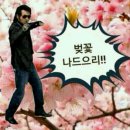 쾌남정보 이미지
