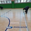 정재 초등학교 이미지