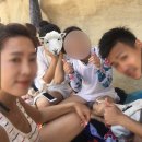 세인트피터어학원