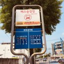 머티네거리 Daum카페