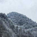 영월강변꽃바위펜션 이미지