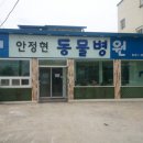 안정현동물병원 이미지